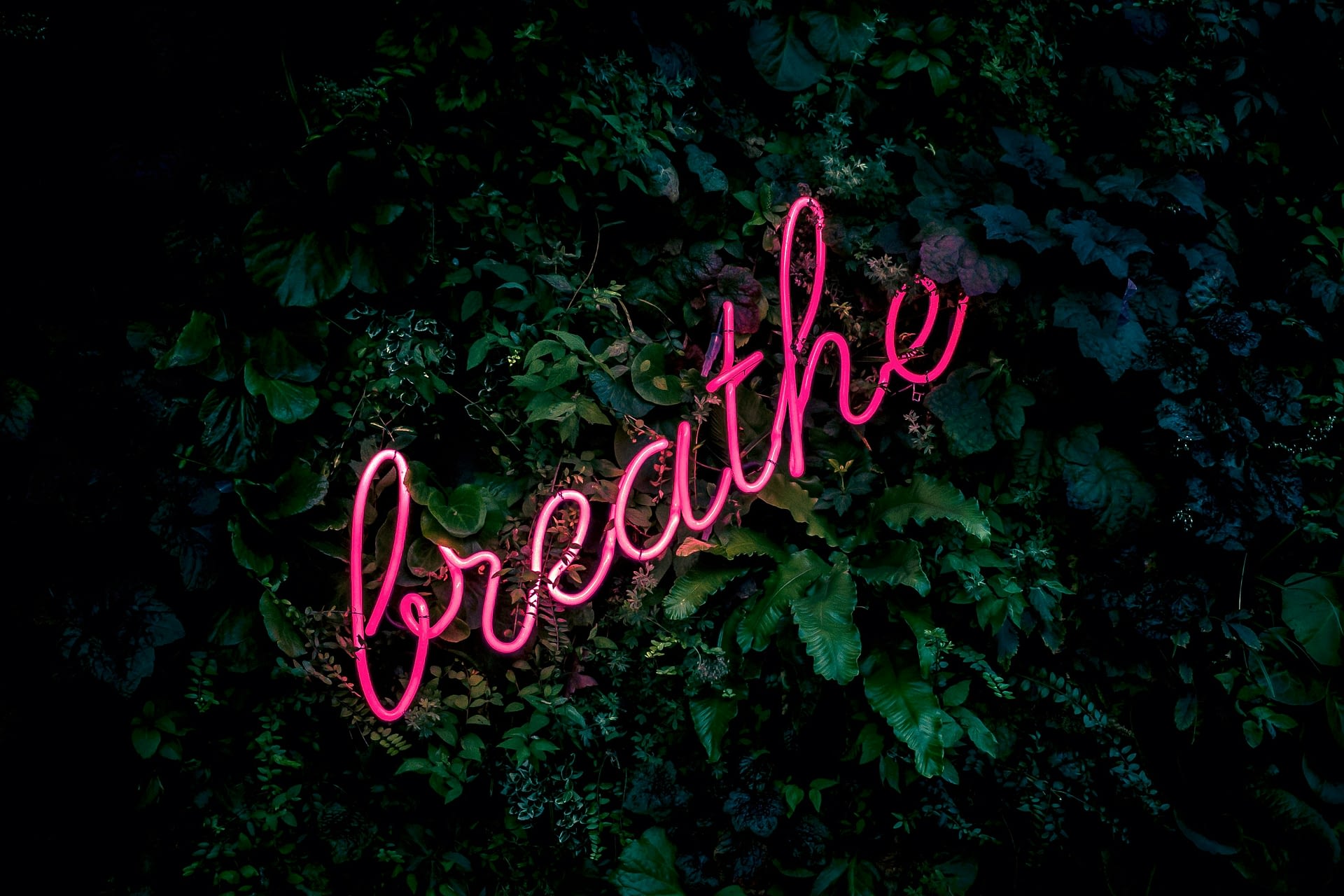 Breathwork: Discover Techniques for Improved Wellbeing